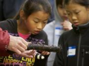 Kiara Mueller, 11, left, and her sister Tiana Mueller, 9, look at coral fungi during a guided mushroom hunting hike at Columbia Springs Family Field Trip Day in 2012.