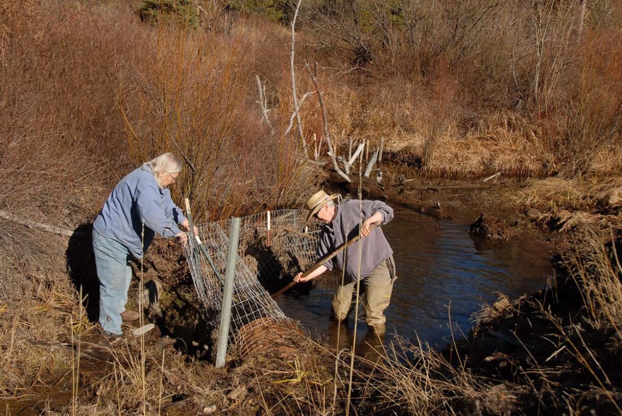 Jayne Goodwin and Terry Simpson clear debris from a nearly clogged culvert off Sevenmile Road near Fort Klamath, Ore., on Nov. 13.