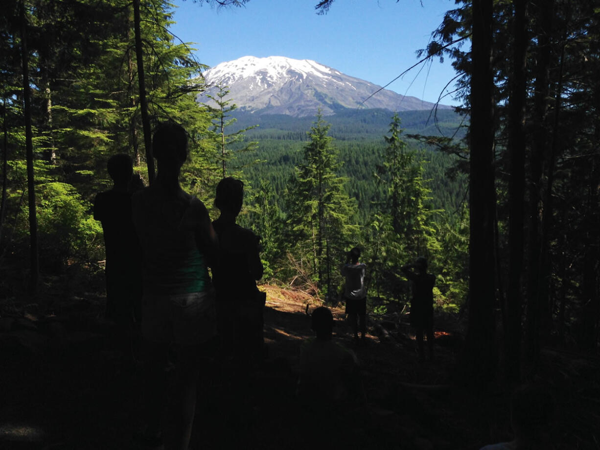 Mount St. Helens is visible June 7 from a trail near Cougar. The first new hiking trail at Mount St. Helens National Volcanic Monument in two decades opened in 2014 and delivered something the Ape Cave area had lacked -- a view of the volcano.