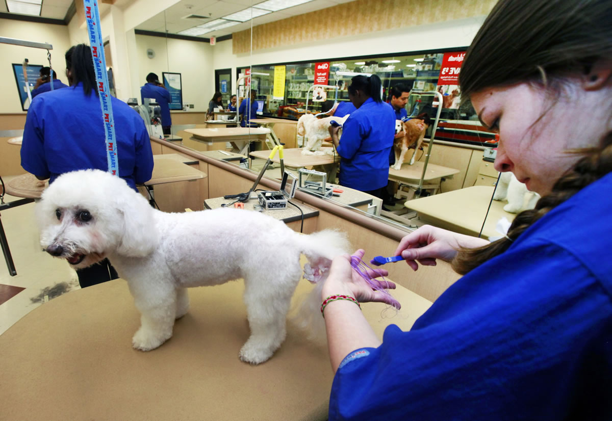 Petsmart best sale grooming salon