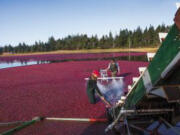 Oregon cranberry growers report mixed results this season.