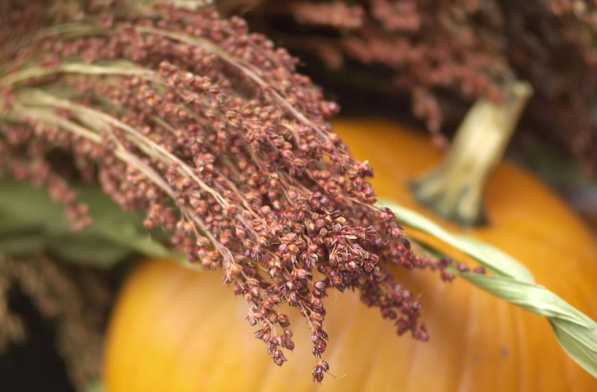 The Vancouver Farmers Market hosts a special Harvest Market today along Sixth and Esther streets in downtown Vancouver.