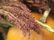 The Vancouver Farmers Market hosts a special Harvest Market today along Sixth and Esther streets in downtown Vancouver.