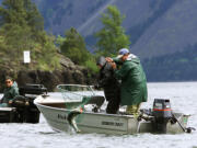 Spring chinook fishing at Wind River typically starts slow and peaks in late April to mid-May.