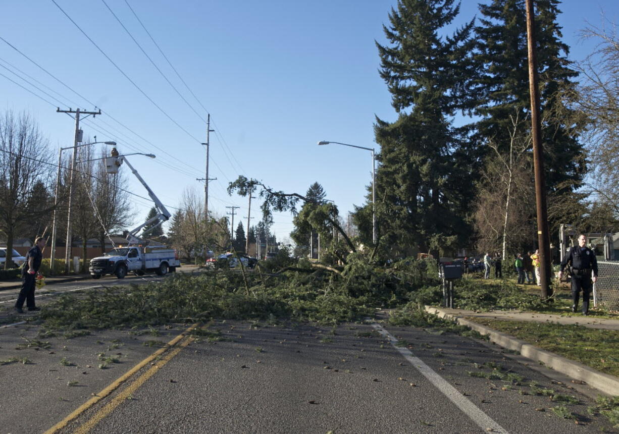 A 110-foot Douglas fir fell onto Northeast 28th Street in Vancouver on Sunday afternoon, taking down a power line and causing the street to be closed for hours.