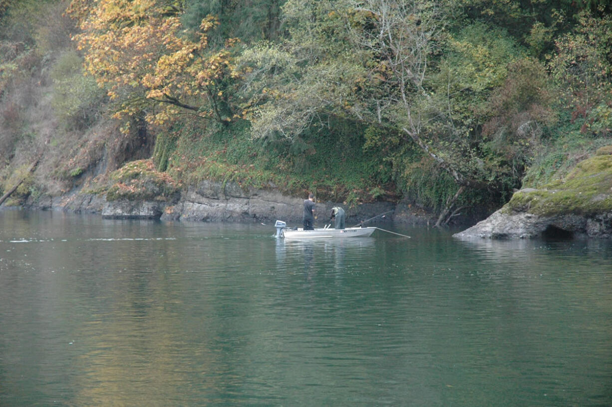 Anglers continue to fish for coho in the North Fork of the Lewis River.