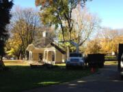 Public Works crews removed three sweetgum trees in Esther Short Park Thursday.