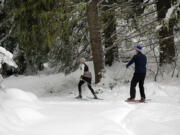 A pair of cross-country skiers on New Year's Day morning on the Big Tree Loop in the Mount Adams District of the Gifford Pinchot National Forest.