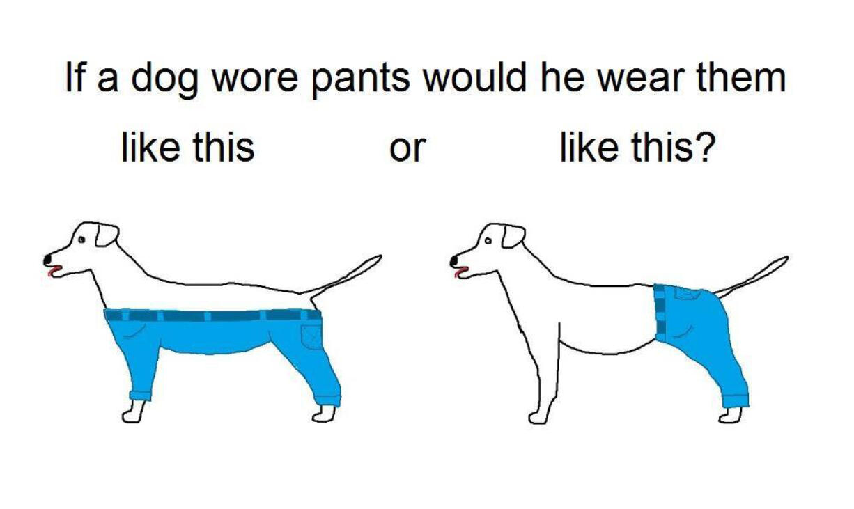 The Internet is abuzz with the dog pants discussion.