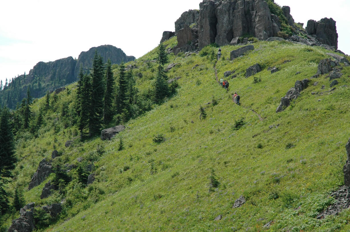 Ed's trail on Silver Star Mountain.