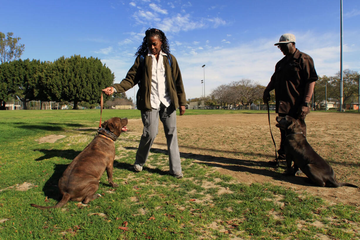 Larry Hill, right, and his dog, Ryder, train Pamela Henderson and her dog, Gabriel, in South Los Angeles.