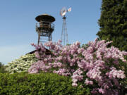 Rooftops, trees and sky stand out above flowering shrubbery at the Hulda Klager Lilac Gardens in Woodland.