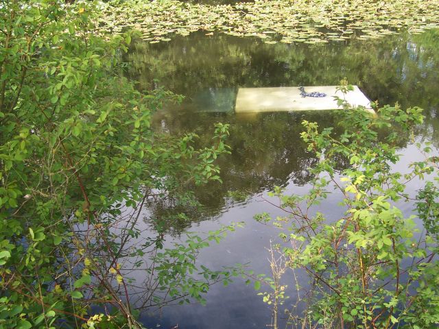 An ODOT employee rescued an injured motorist from this submerged truck near Albany, Ore.