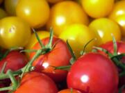 A mixture of Yellow Boy, Sun Gold and Piccolino tomatoes at the Salmon Creek Hydroponic stand call for shoppers to buy them.