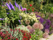 Robb Rosser
It's the peak of the garden year, when collectable perennial plants are in their glory.