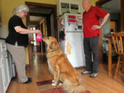 Jeanette, left, and Jim Michel were having a problem with their dog Maddie's feeding and a local pet expert helped them solve the problem by using a technique with a toy.