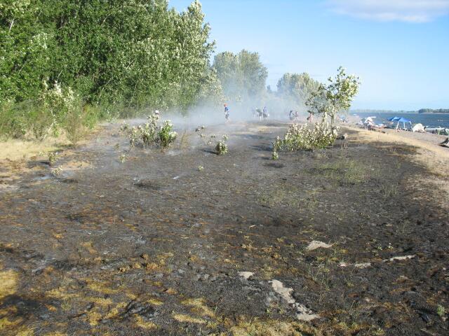 The Bachelor Island fire smoulders Thursday evening.