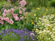 A cottage-style flower border exemplifies the cheerful, vibrant colors of summer.