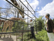 Reiko Tsurukawa, right, watches a man interact with Sky the giraffe at the Obihiro Zoo in Obihiro, Hokkaido, Japan on June 1.