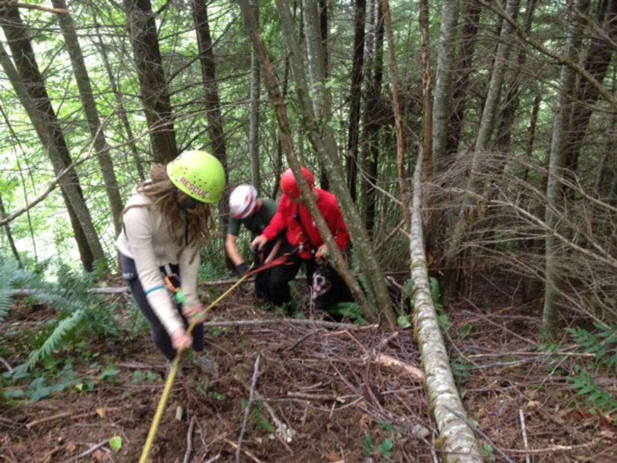 Crews, the dog owner and the dog were attached to a rope system, so they could walk up the mountain.