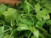 A screen grab from Slate's video on chopping parsley, one of the stars of a good tabbouleh salad.