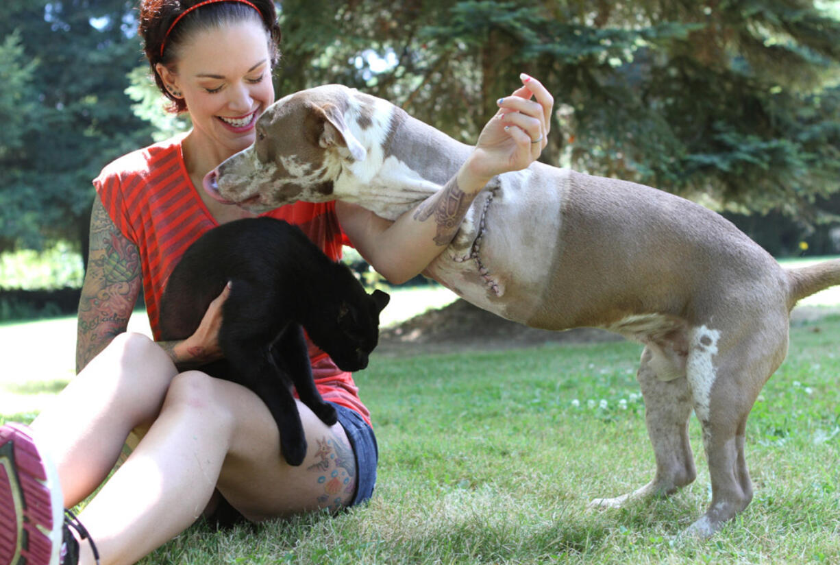 Five days after surgery, London is running around and playing with Panda Paws Rescue founder Amanda Giese.