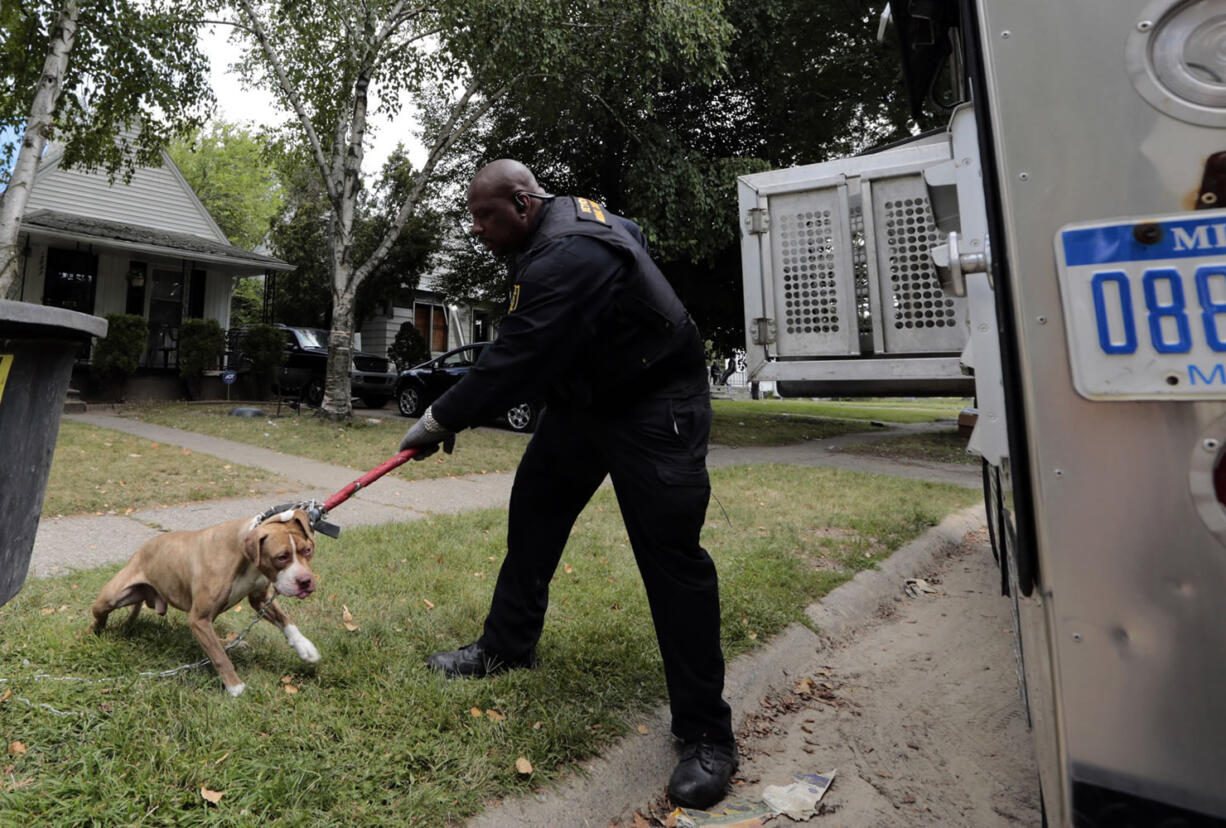 Malachi Jackson, an officer with the City of Detroit Animal Control, takes a pit bull that had bitten someone to be quarantined Monday.