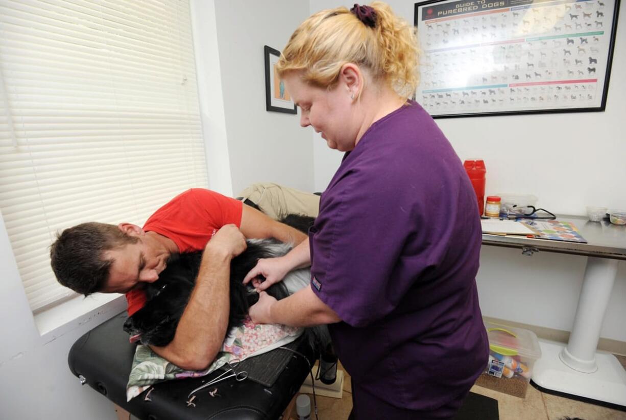 Chris Oldt, with Blue Ridge Veterinary Blood Bank in Loudoun County, Va., lays with Kenzie, a 5-year-old Newfoundland, as Dr. Valerie Latchford, veterinarian with Blue Ridge, injects a needle into Kenzie's jugular vein.