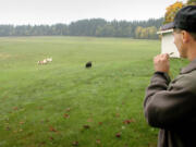 Lynn Johnston uses a whistle to direct Anna, his Australian border collie, to round up sheep on his fifth-generation dairy farm in 2006.