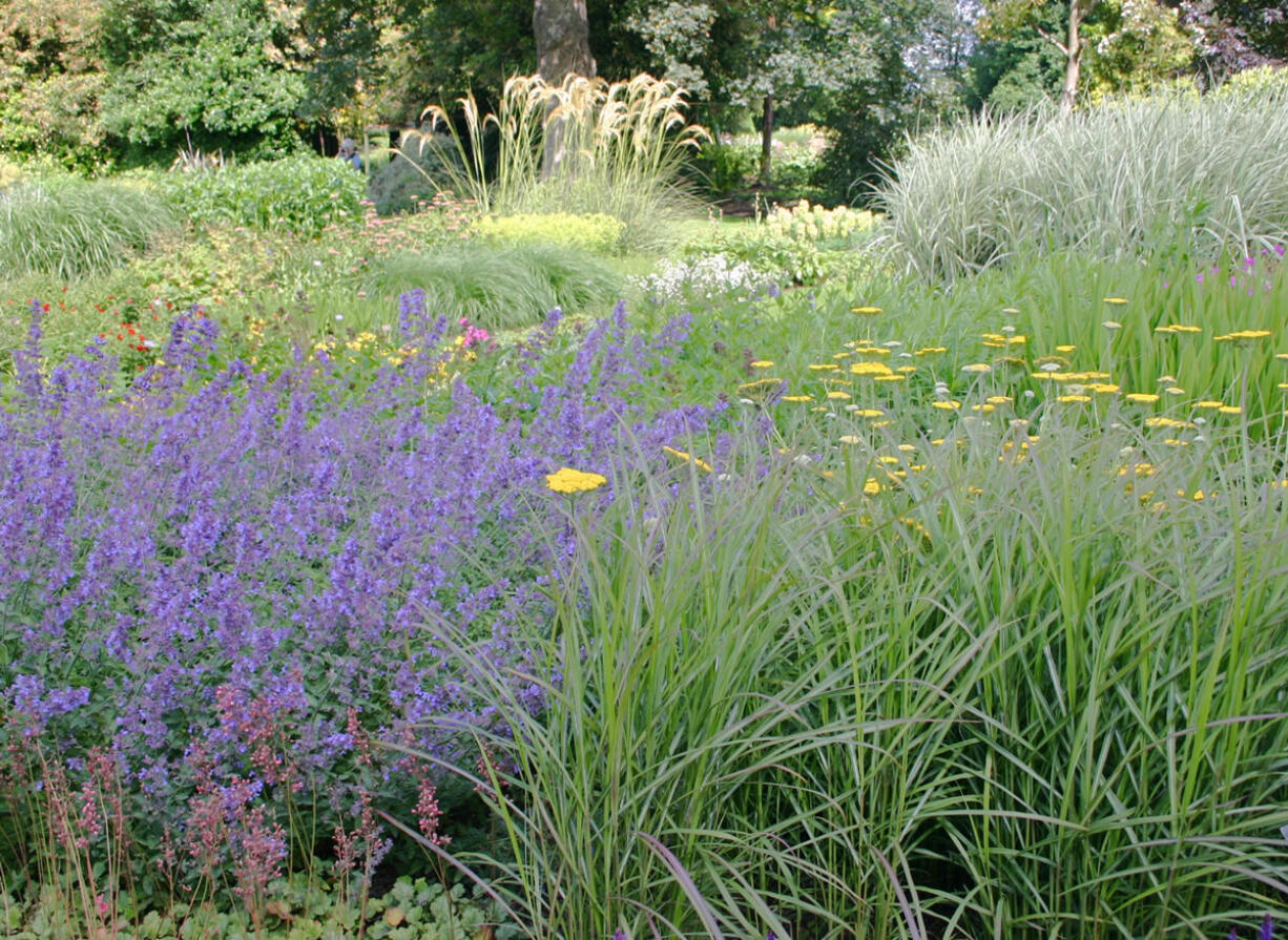 A mix of ornamental grasses highlights the abundant plant border with form, color and stature.