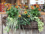 Robb Rosser
A walk through Shorty's Nursery on 10006 S.E. Mill Plain Boulevard will yield expert examples of seasonal container plant combinations.