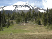 The Gifford Pinchot National Forest has reauthorized a grazing permit for 33,000 acres on the south side of Mount Adams.