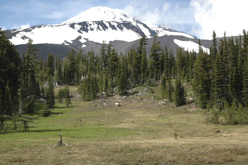 Gifford Pinchot National Forest - Mt. Adams area