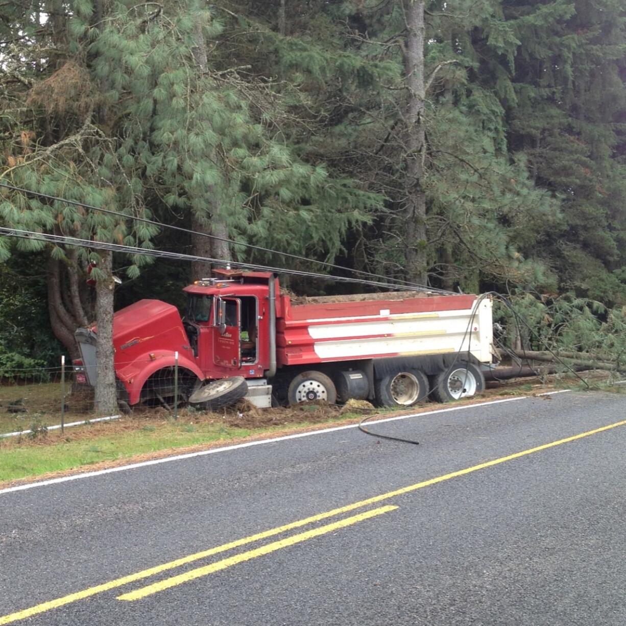 This dump truck veered off the roadway on Northeast 199th Street, went through a barbed wire fence and struck a tree, which took out power lines.