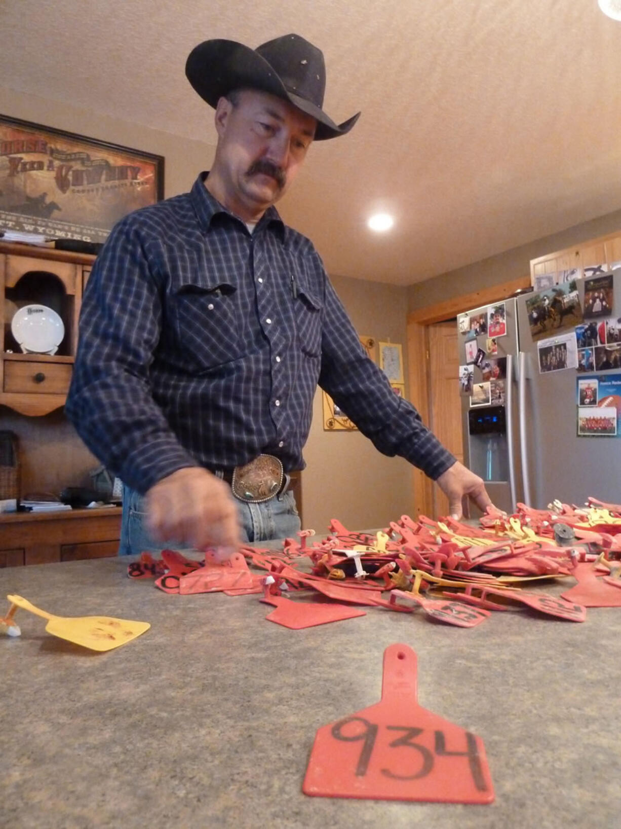 South Dakota rancher Scott Reder, who lost 200 head of cattle in a recent blizzard, displays ear tags of his dead animals on Oct.