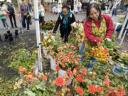 Sia Vang, right, and Pajku Cha, 15, from the Cha Meng Family Farm, arrange flowers on the last day of the 2010 Vancouver Farmers Market.