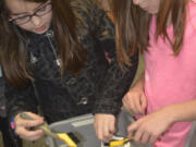 Cape Horn-Skye Elementary third-graders Megan West and Kylie Bowen wash a turn-of-the-century cup as they learn more about the role of archeologists.