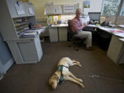 Hudson's Bay: Kaya, once a guide-dog-in-training, used to hang out with Mike Githens while he was at work at the Fort Vancouver Regional Library District.