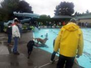 Lake Shore: The weather was wet but the doggies were happy to get even wetter when Lake Shore Athletic Club hosted its Seventh Annual Doggie Dive.