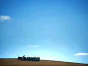 Visitors get a tractor ride during the 9th Annual Harvest Fun Day at Heritage Farm on Saturday.