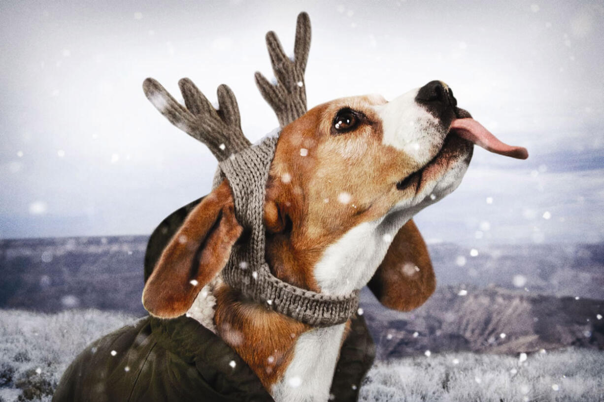 American Beagle Outfitters Reindeer Beanie.