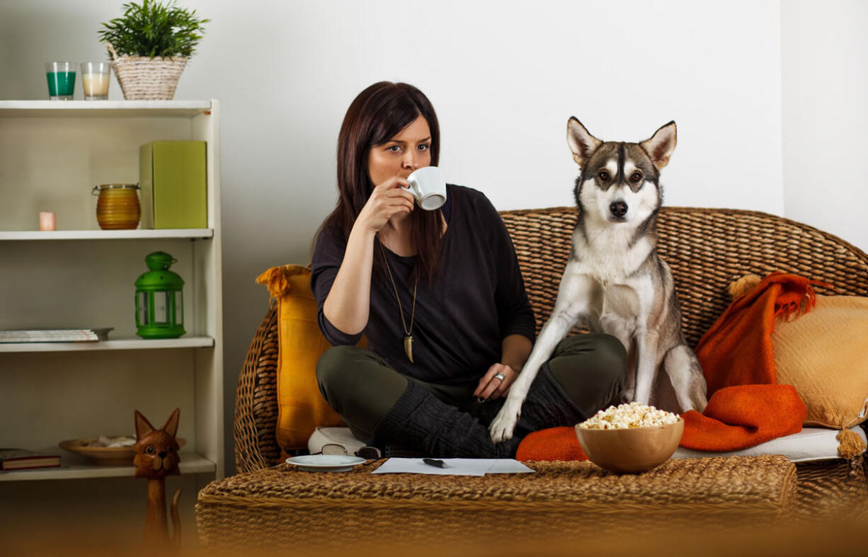 If you have a pet, there are steps you can take to keep your home clean and odor-free.