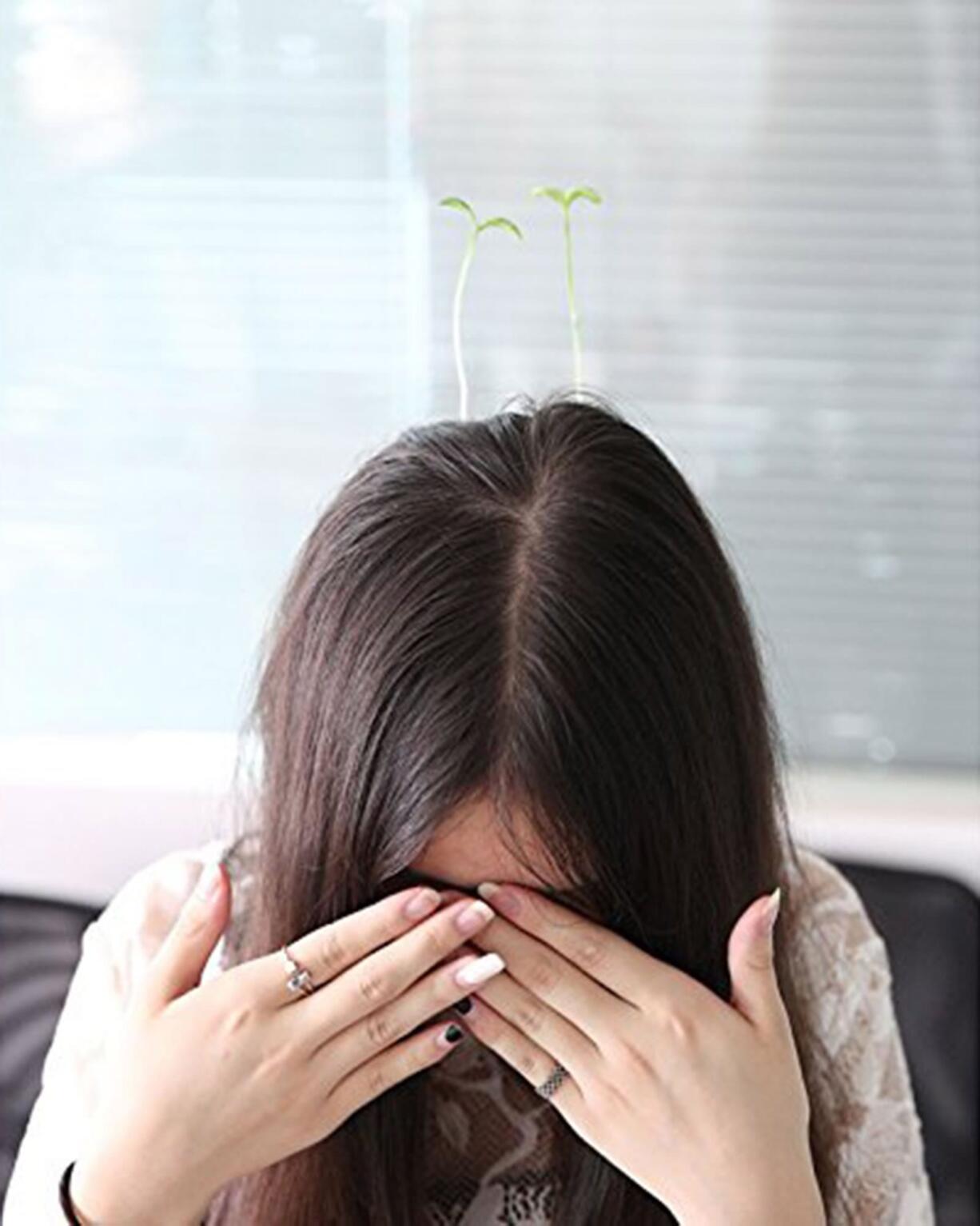 Since the late summer, the latest fad in China has been hair barrettes with plastic flora sticking straight up. Not so long ago, headbands with cat ears were in.