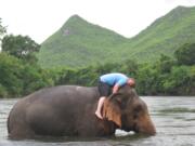 Crystal Steinmueller rests atop an elephant as it bathes.