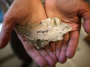 Arunima Kashyap holds a cow jawbone fragment.