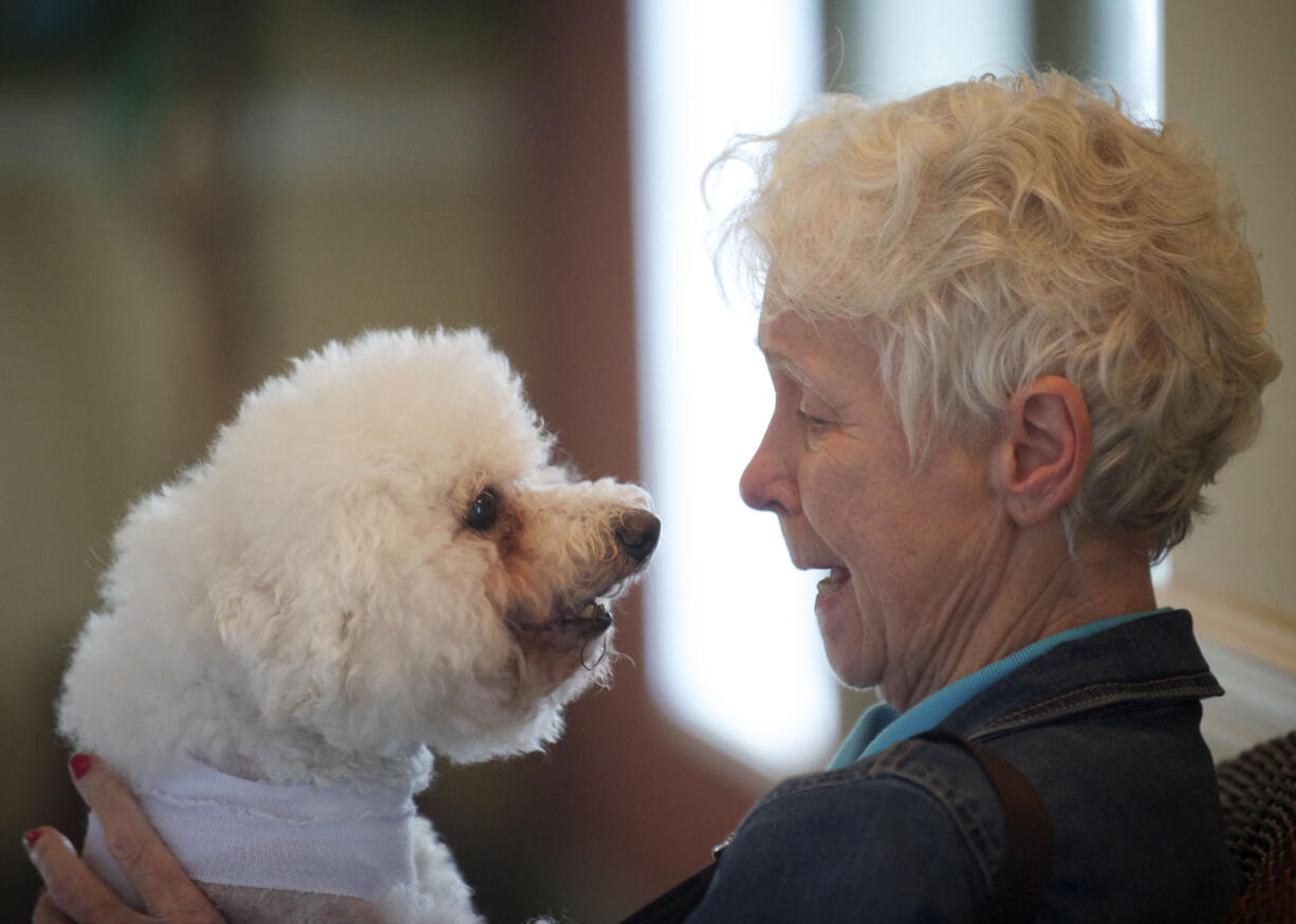 Sylvia Reed, 78, is reunited with her dog Sparky after his trip from Pullman, where he had lung surgery at the Veterinary Teaching Hospital at Washington State University.