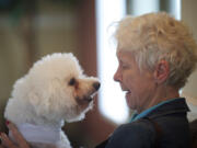 Sylvia Reed, 78, is reunited with her dog Sparky after his trip from Pullman, where he had lung surgery at the Veterinary Teaching Hospital at Washington State University.