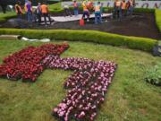 Master Gardener Foundation of Clark County volunteers prepare to plant flowers Saturday morning in the shape of a steelhead trout underneath the Welcome to Washington sign along Interstate 5.