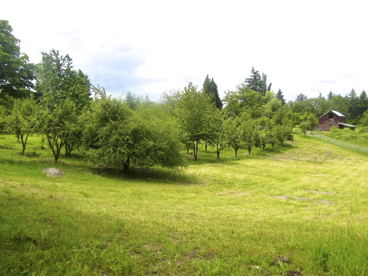 The Foley Park property was purchased by Clark County in 2006 for use as a future park.