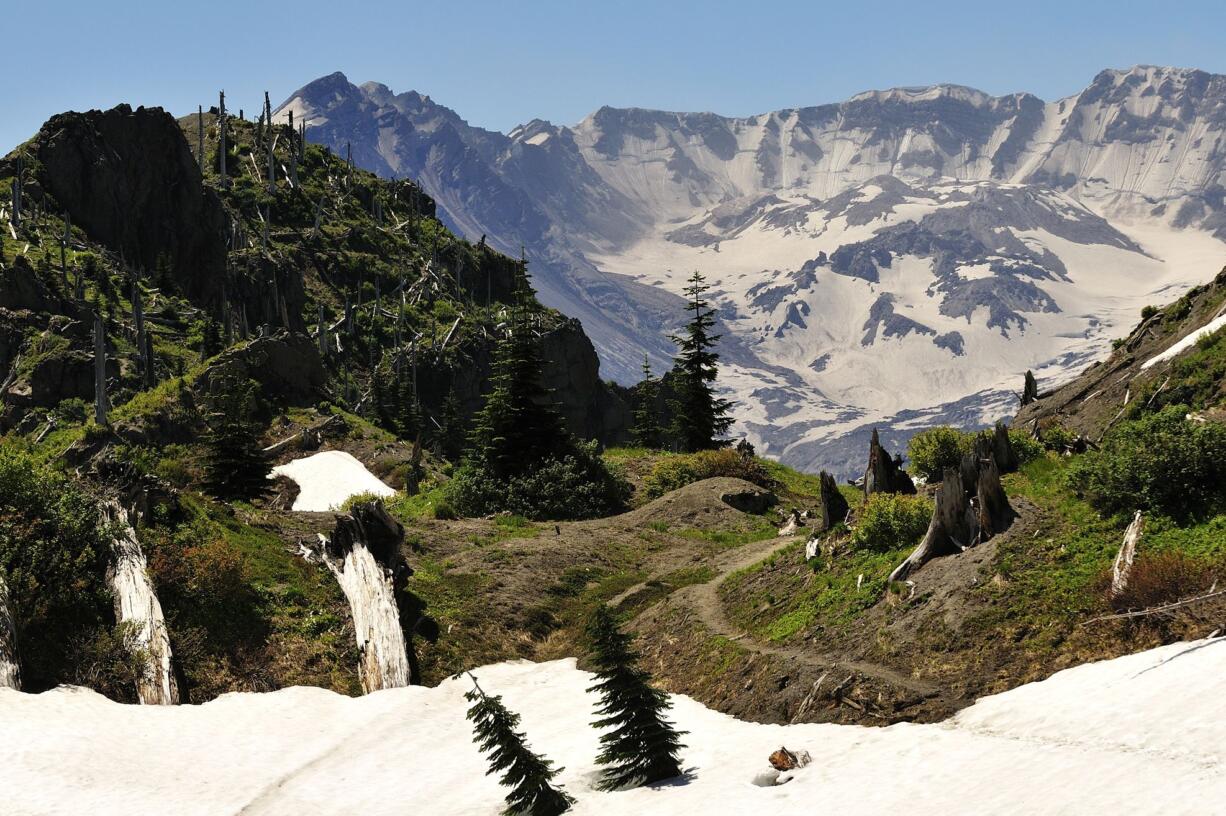 Boundary Trail No. 1 carves through patches of snow between evergreen trees and rocks near Mount St.